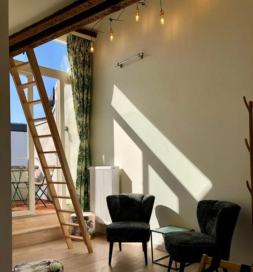 Casa vacanze Vakantiehuis For 12 People Anversa Belgio